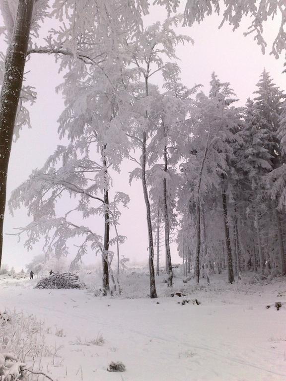 Heidehotel Hildfeld وينتربرغ المظهر الخارجي الصورة